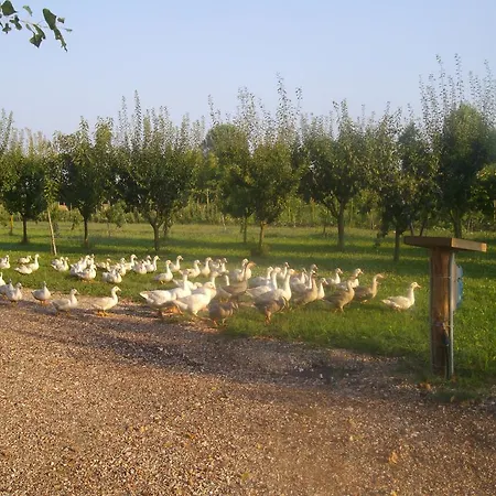 Biologico La Buona Terra Villa Marin